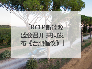 RCEP新能源盛会召开 共同发布《合肥倡议》